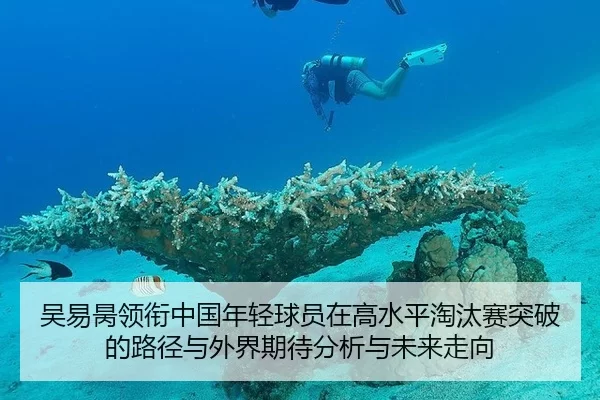 吴易昺领衔中国年轻球员在高水平淘汰赛突破的路径与外界期待分析与未来走向